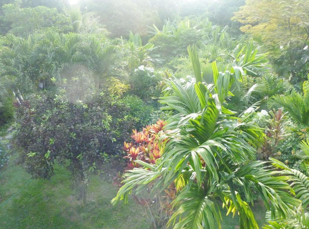 La Batie Selfcatering Apartment Beau Vallon  Exterior foto